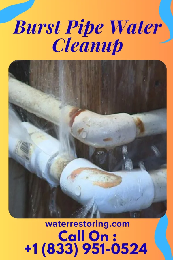 Burst Pipe Water Cleanup in Warrensville Heights, OH