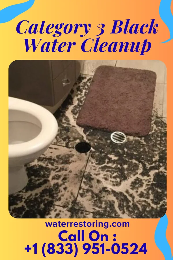 Category 3 Black Water Cleanup in Warrensville Heights, OH