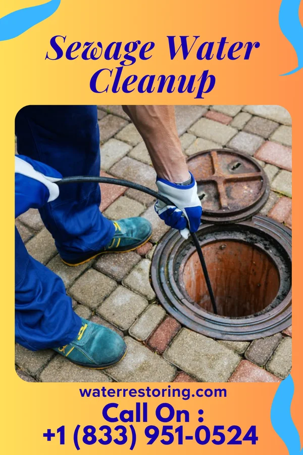 Sewage Water Cleanup in Warrensville Heights, OH