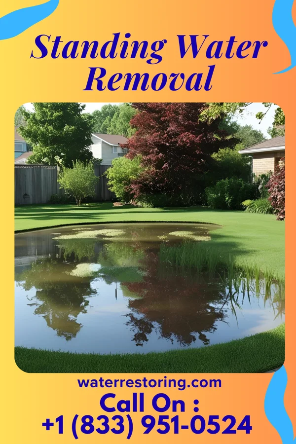 Standing Water Removal in Warrensville Heights, OH